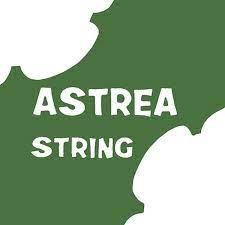 Astrea Violin String Set 1/16 - 1/8