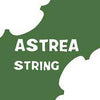 Astrea Violin String Set - 1/8 to 1/16 Size - Reliable Student Strings - Ev - Entz Music