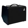 Godin Acoustic Solutions ASG - 8 Guitar Amplifier - Black | Compact 120W Acoustic Amp with Bluetooth - Ev - Entz Music