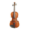 Stentor Arcadia Violin - Ev - Entz Music