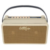 Vintage Retro 25W Guitar Amplifier with DSP Effects – 6 Built - in Effects, Adjustable Tone, USB Connectivity (Vintage White) - Ev - Entz Music