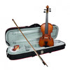 Hidersine 3180A Vivente 4/4 Sized Violin