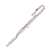 Odyssey Debut Curved Head Closed Hole 'C' Flute Outfit