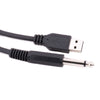 CAD USB - A Instrument Cable ~ 10' - Ev - Entz Music