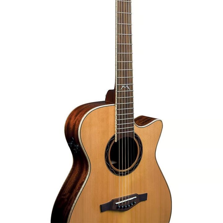 Fingerboard and Branko Rosewood Details – Eko MIA A400

