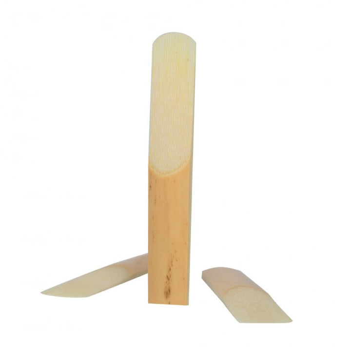 Two natural cane reeds shown upright and flat

