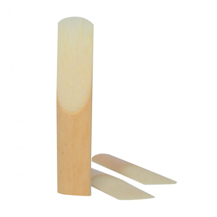 Two natural cane reeds with one standing upright

