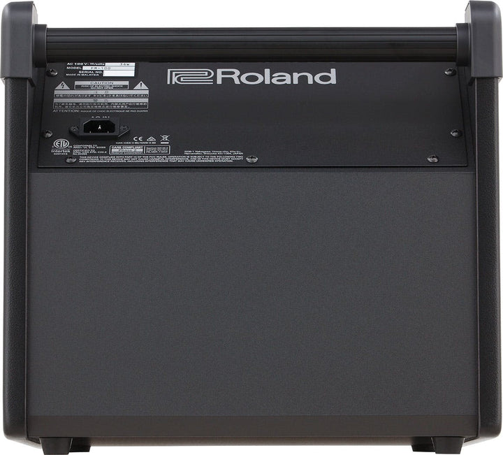 Roland PM-100 Back