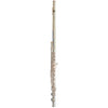Trevor James 10XP Flute