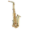 Trevor James AlphaSax Alto Saxophone Gold Lacquer Outfit – 371A2