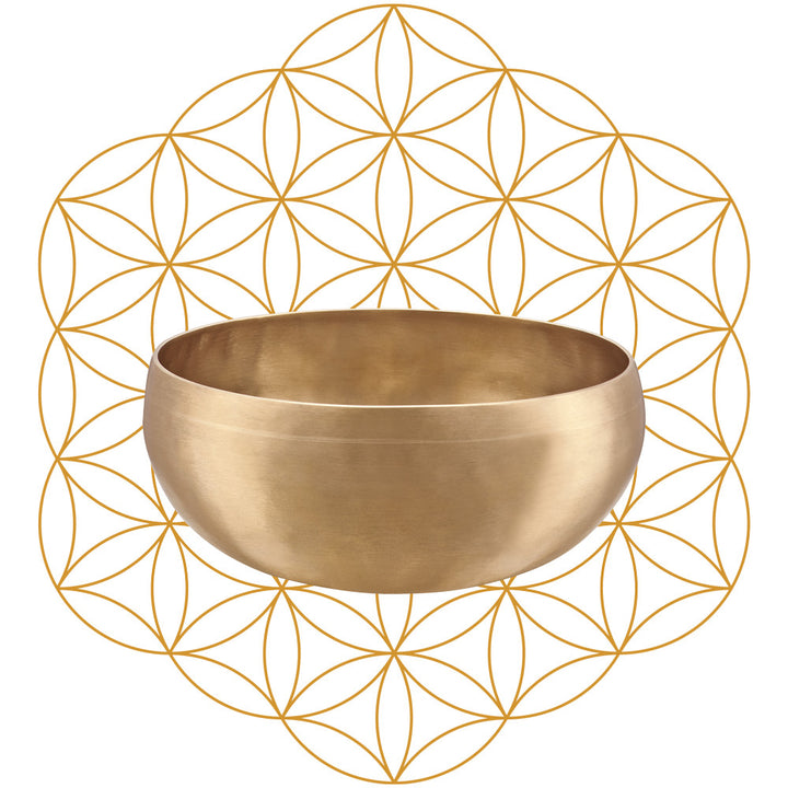 MEINL Sonic Energy Synthesis Series Flower of Life Singing Bowl - 1000g