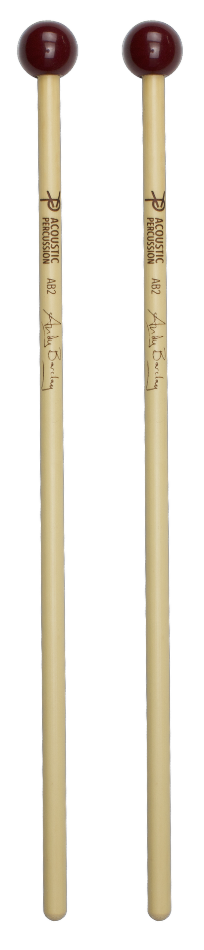 Acoustic Percussion AB2 - Andy Barclay Signature Series