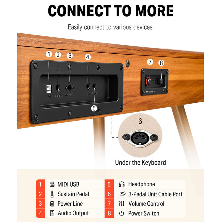 connection panel on rear