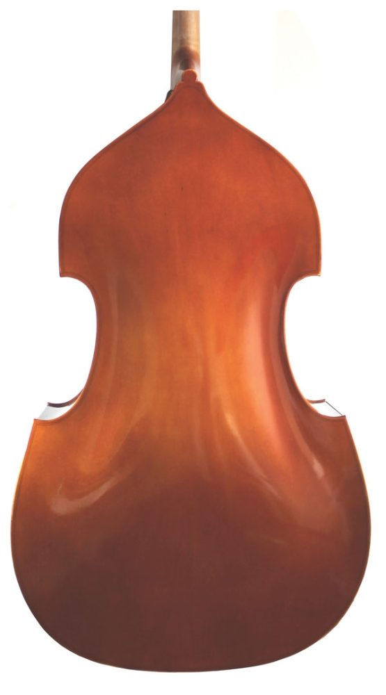 Eastman 80 Student Double Bass Outfit 1/2 Size Back