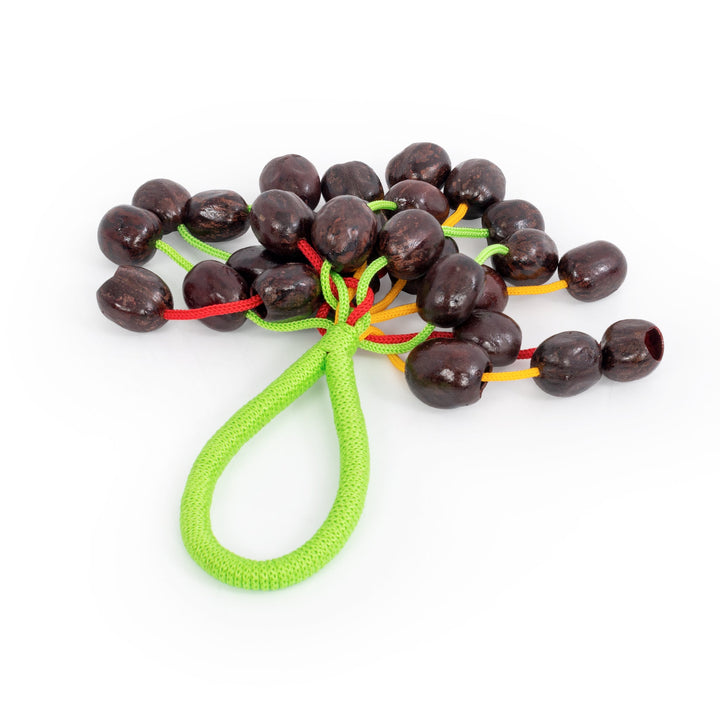 Percussion Plus Percussion Plus Honestly Made Rubber seed cluster shaker - image 3