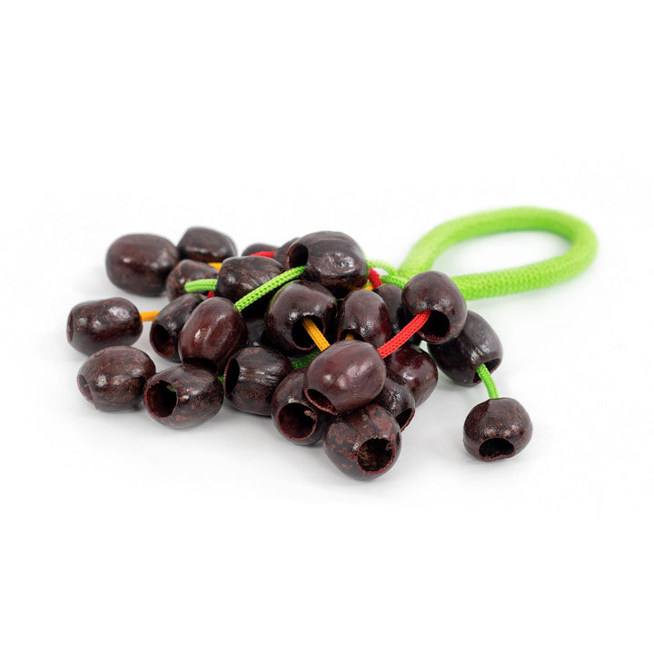 Percussion Plus Percussion Plus Honestly Made Rubber seed cluster shaker - image 5