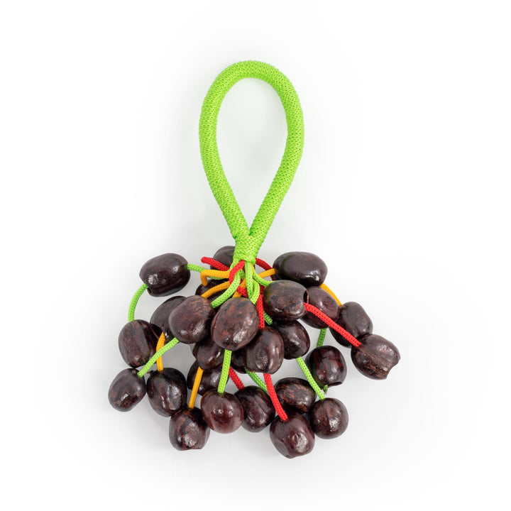 Percussion Plus Percussion Plus Honestly Made Rubber seed cluster shaker - image 4