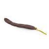Honestly Made Seed pod shaker
