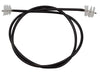Champion Trumpet Snake - Ev - Entz Music