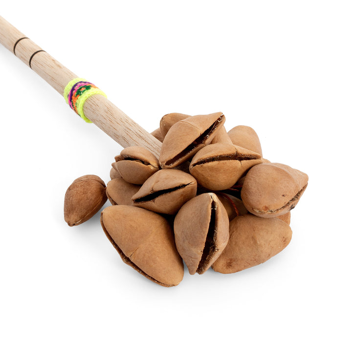 Percussion Plus Percussion Plus Honestly Made cha cha on a stick - image 5