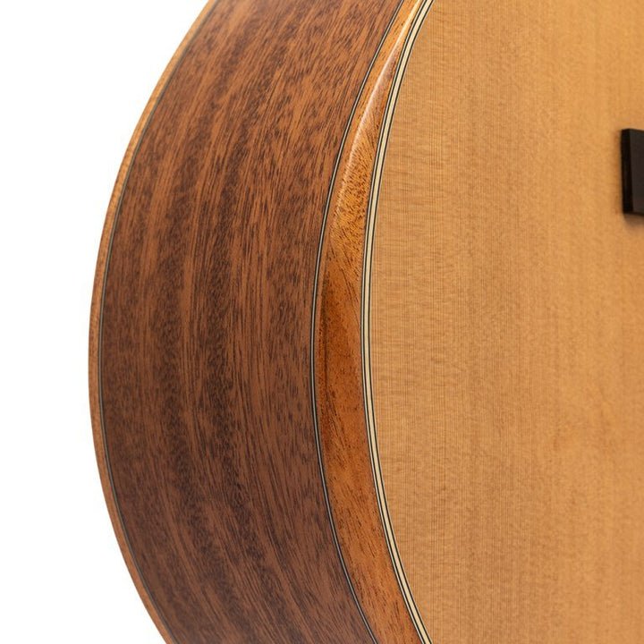 DS-2 Electronics with Gooseneck Mic and Pickup on Crafter G17E
