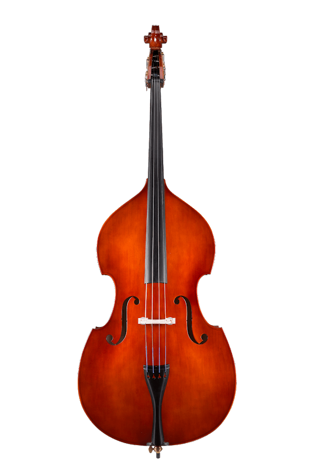 Eastman 80 Student Double Bass Outfit 1/2 Size - Ev - Entz Music