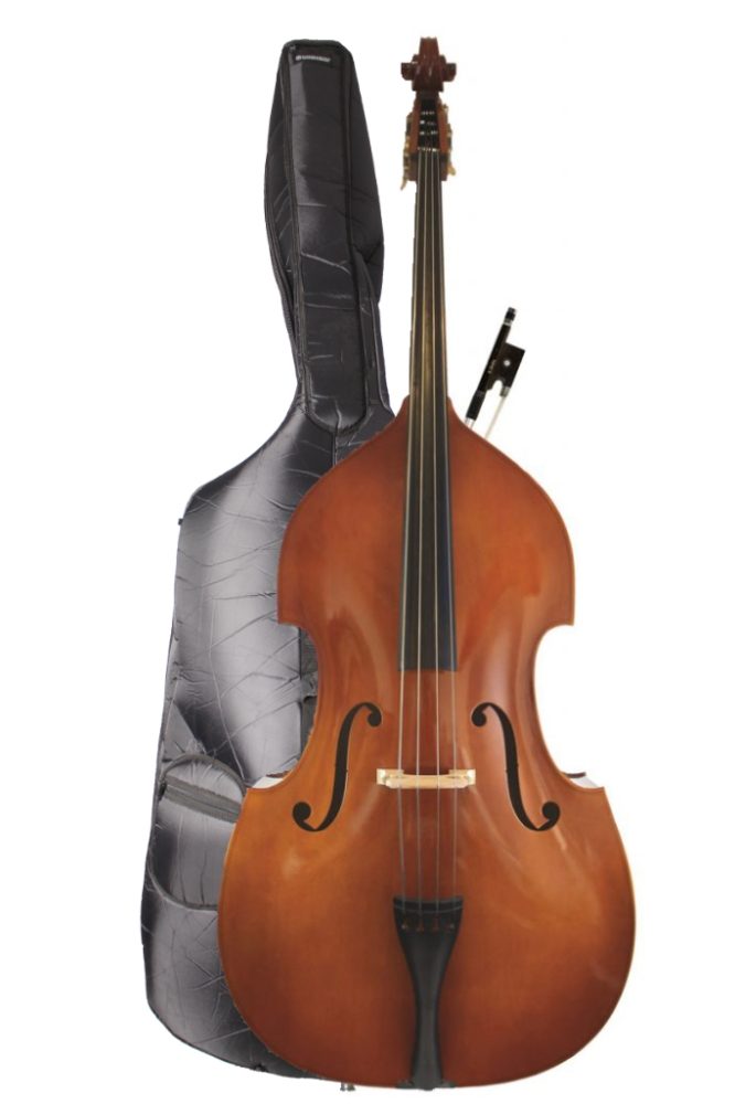 Eastman 80 Student Double Bass Outfit 1/2 Size - Ev - Entz Music