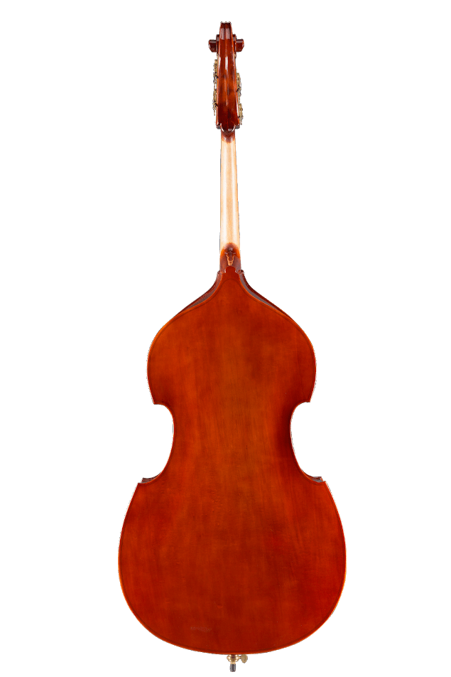 Eastman 80 Student Double Bass Outfit 1/2 Size - Ev - Entz Music
