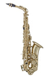 Elkhart 100AS Eb Alto Saxophone - Student Outfit (100AS) - Ev - Entz Music