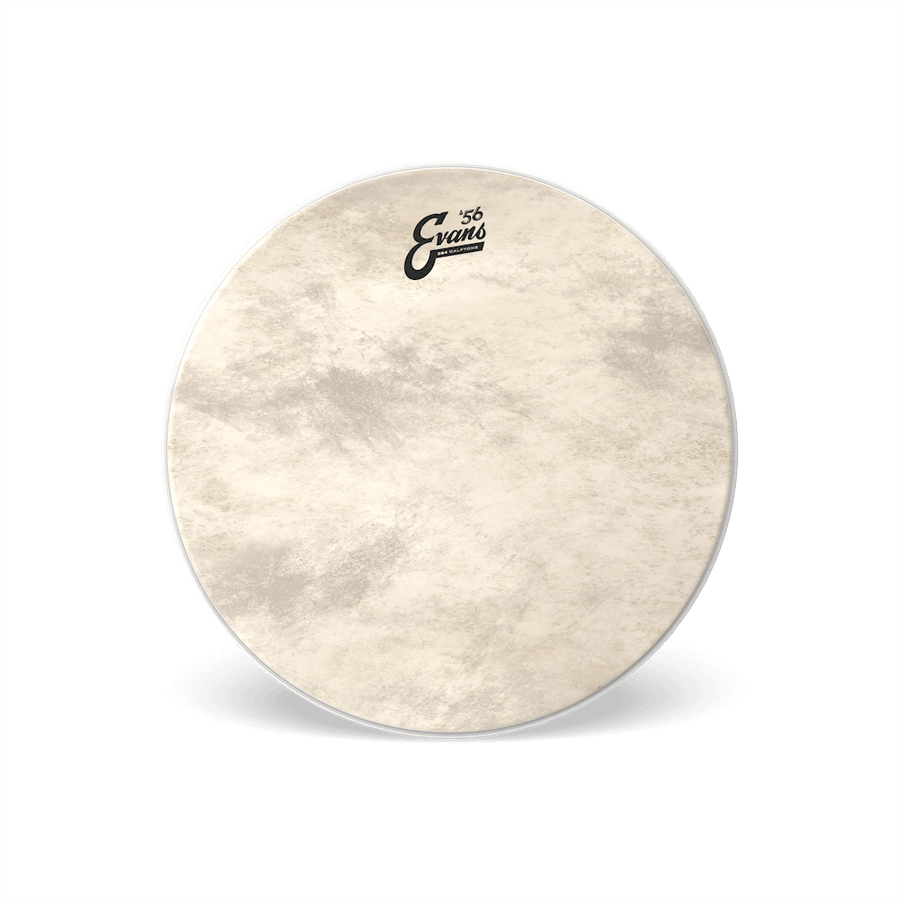 EVANS EQ4 Calftone Tom Hoop Drum Head product image