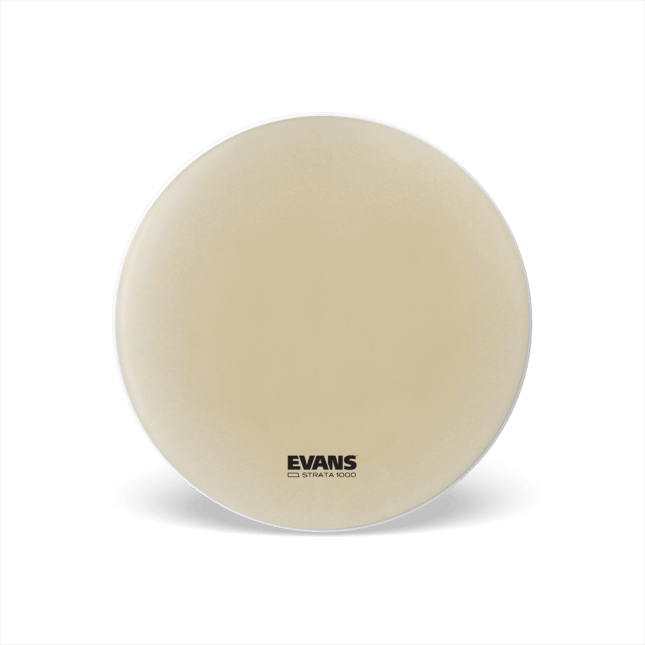 Evans Bass Batter - Strata 1000 - Ev - Entz Music