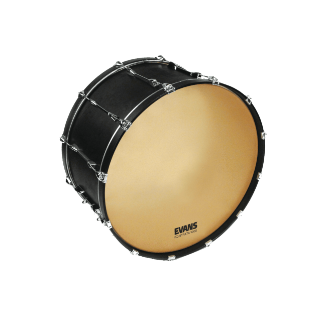 Evans Bass Batter - Strata 1000 - Ev - Entz Music
