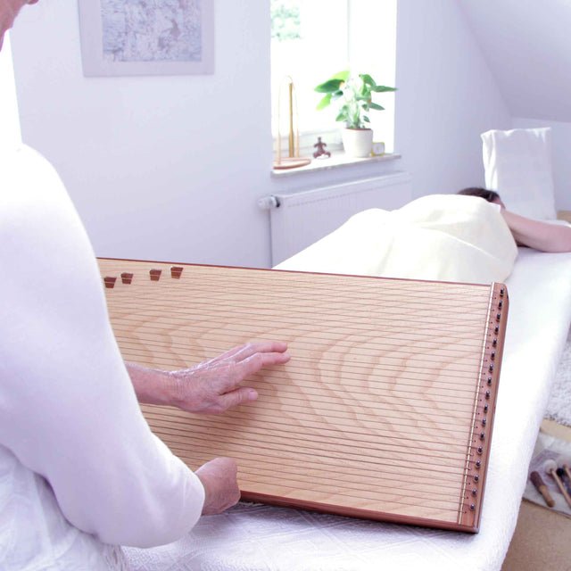 Feeltone Monolina Monochord - Ev - Entz Music