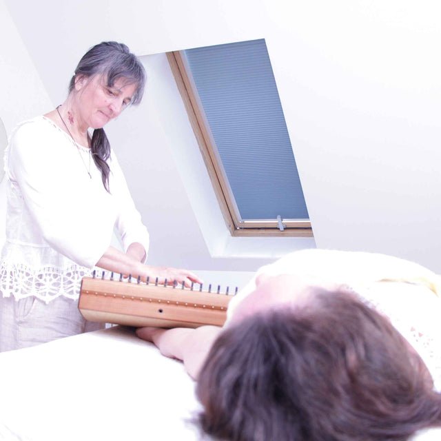 Feeltone Monolina Monochord - Ev - Entz Music