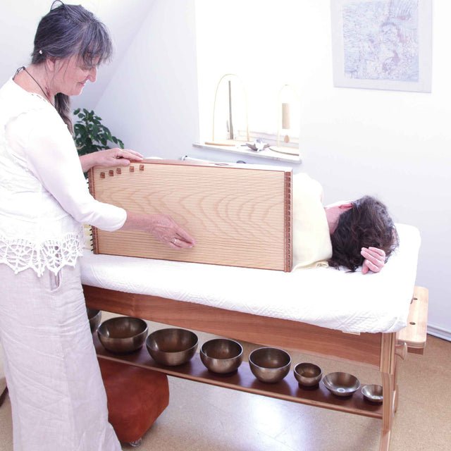 Feeltone Monolina Monochord - Ev - Entz Music