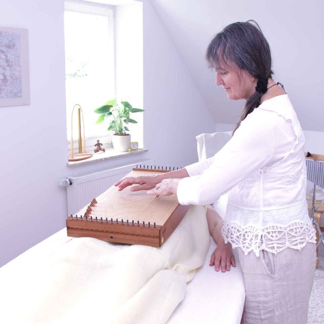 Feeltone Monolina Monochord - Ev - Entz Music