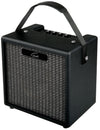 Gould 10W Practice Guitar Amplifier – Compact with Delay & Aux Input – GGA10 - Ev - Entz Music