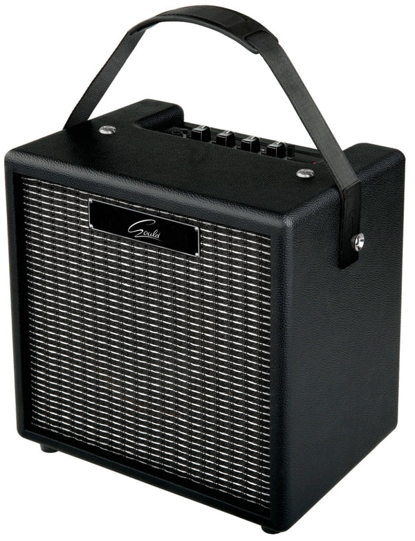 Gould 10W Guitar Practice Amplifier Front View