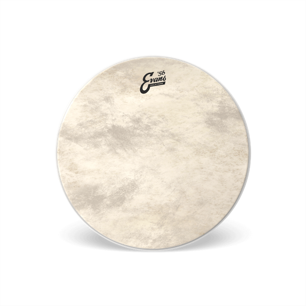 Evans Calftone Bass Batter Drumhead – Vintage-Style Synthetic Head in Sizes 16"–26" – SKU: BDxxCT