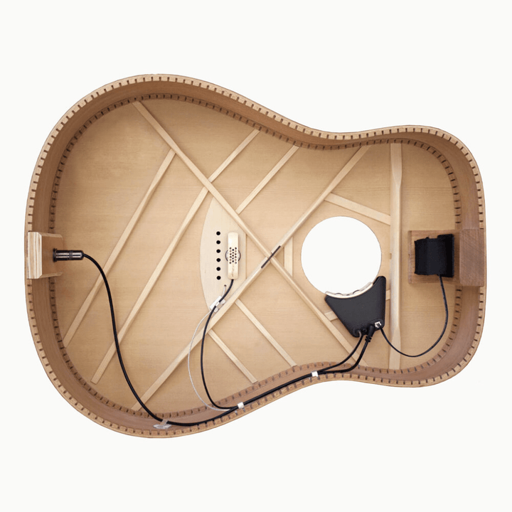 LR Baggs Anthem Acoustic Guitar Pickup - Ev - Entz Music