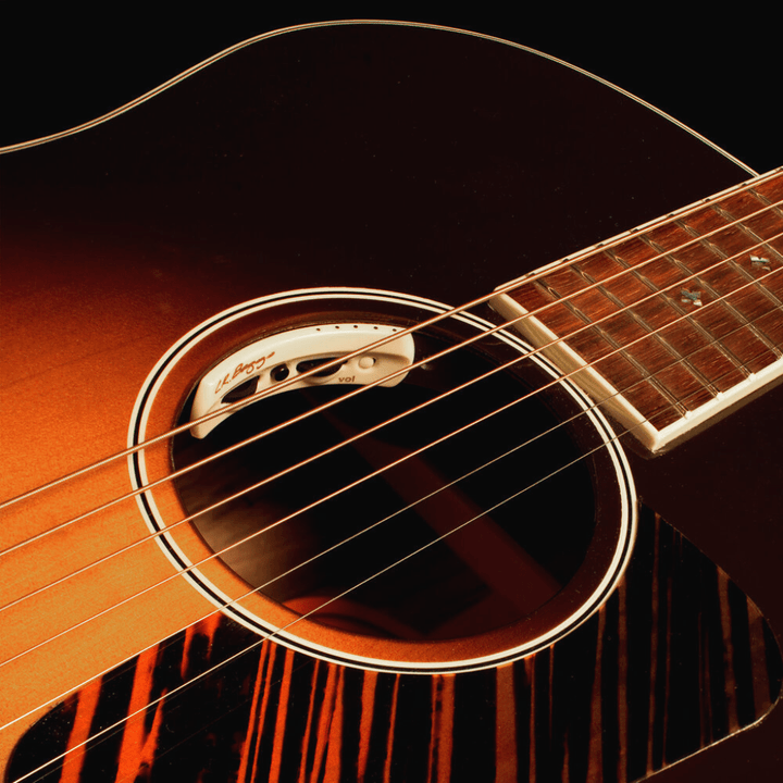 LR Baggs Anthem Acoustic Guitar Pickup - Ev - Entz Music