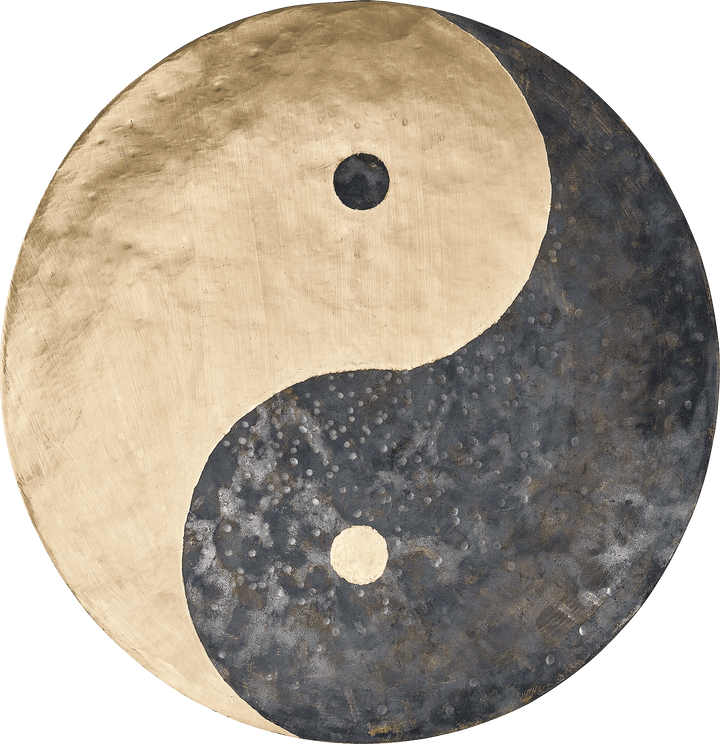 Meinl Sonic Energy 16" Wind Gong - Handcrafted Bronze Gong with Yin & Yang Symbol, Beater & Travel Bag - Ev - Entz Music