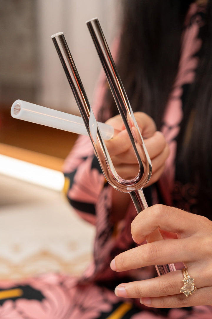 Meinl Sonic Energy Natural Pitch Crystal Tuning Fork 432 Hz - Includes Case and Crystal Rod for Meditation and Therapy - Ev - Entz Music