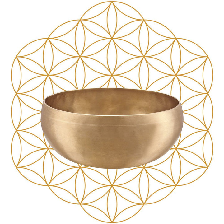 MEINL Sonic Energy Synthesis Series Flower of Life Singing Bowl - 1000g - Ev - Entz Music