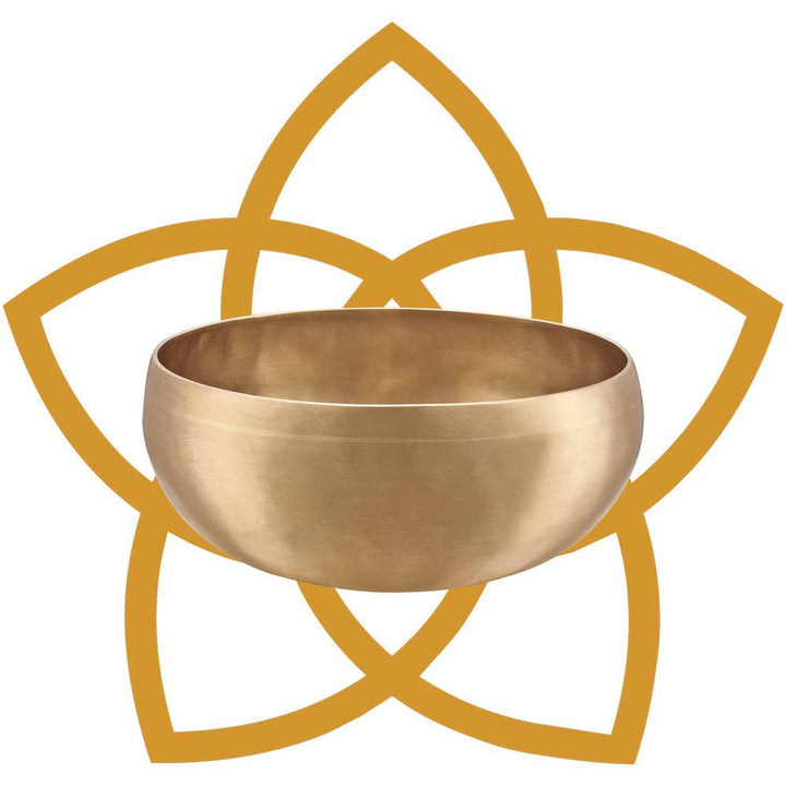 Meinl Synthesis Series Singing Bowl - 19.3cm, 1000g, Venus Flower Design, Includes Cover & Felt Ring (SB - S - VF - 1000) - Ev - Entz Music