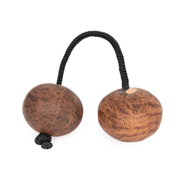 Percussion Plus Percussion Plus Honestly Made Asalatua - image 1