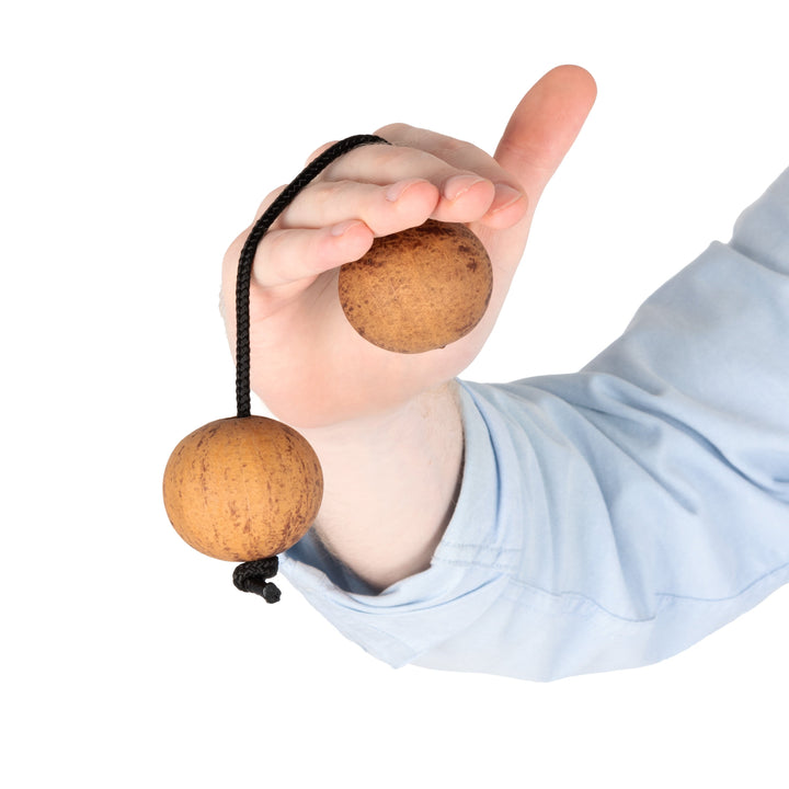 Percussion Plus Percussion Plus Honestly Made Asalatua - image 4