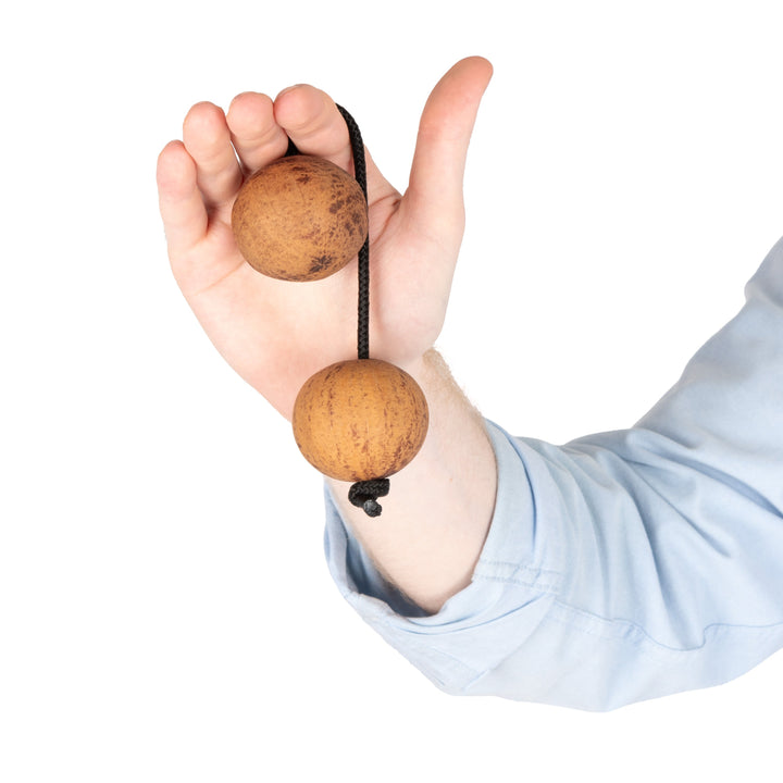 Percussion Plus Percussion Plus Honestly Made Asalatua - image 5