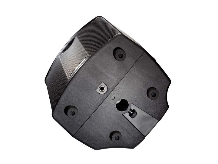 Close-up of 10" woofer and B&C 1" HF driver

