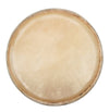 PURE GEWA Club Salsa Conga Heads - Premium Replacement Skins (10", 11", 11.75", 12.5") - Ev - Entz Music